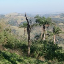 View from the top of Cerro Acati